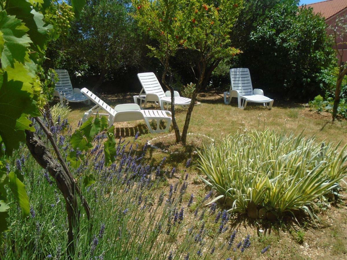 Apartment Antica *